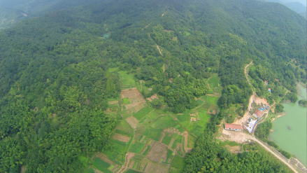 凤凰山窑址群航拍图