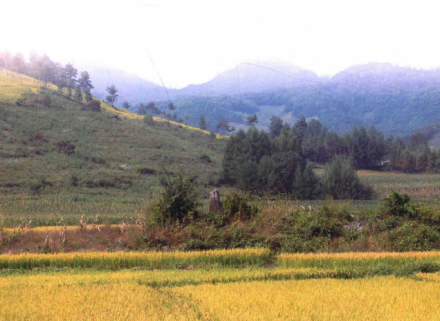 冯家堡子墓地全景