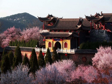 菩提寺