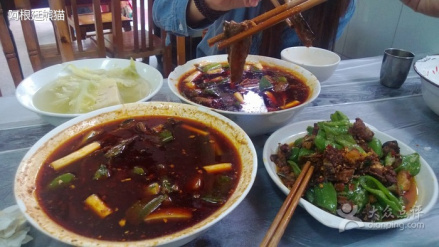 泥鳅片
