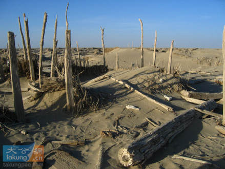 罗布泊南古城遗址