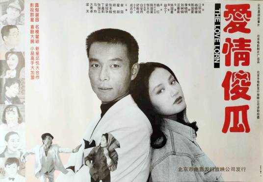 爱情傻瓜