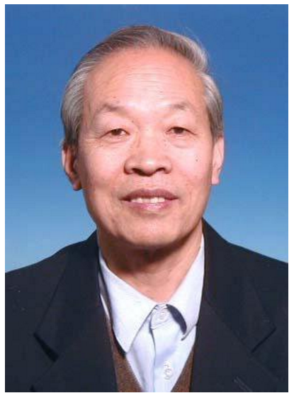王占国