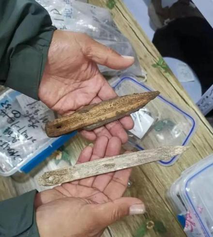 洪河遗址出土骨梗石刃剑