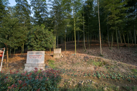 陶山越国贵族墓