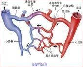 血管收缩