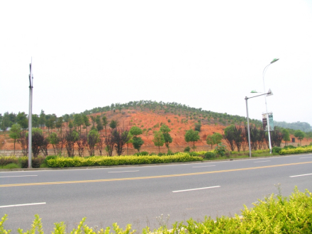 面前山越国贵族墓