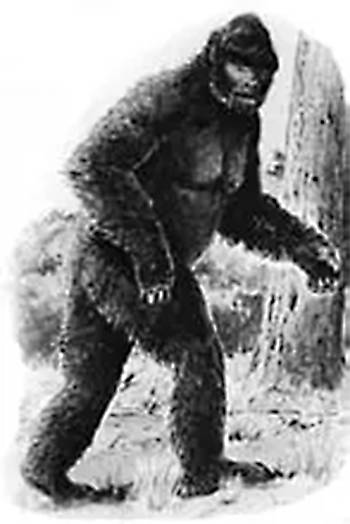 野人
