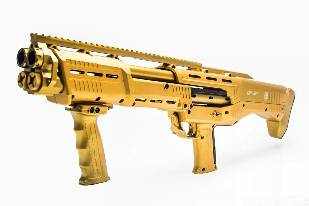 DP-12霰弹枪 