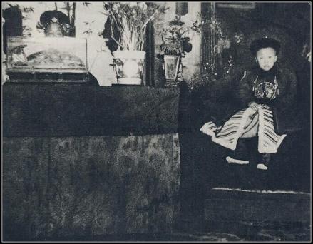 溥仪与隆裕太后 