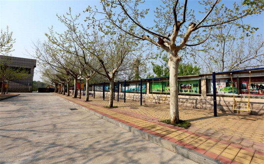 学校环境