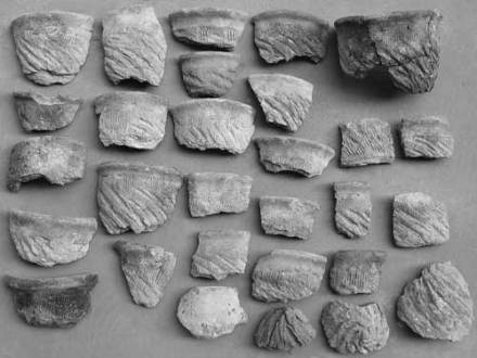 南河崖盐业遗址群GN27遗址盔形器碎片