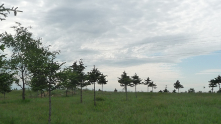 昂昂溪遗址地形