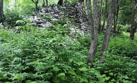 霸王朝山城遗址