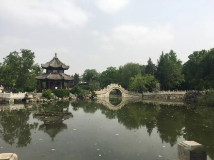 古莲花池
