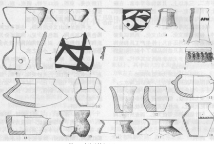 水沟遗址采集陶片图