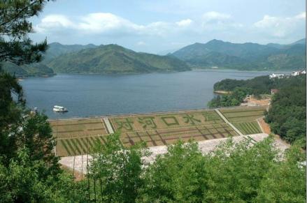 德清对河口水库