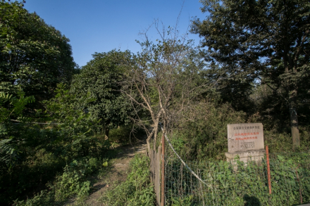 宋家山越国贵族墓