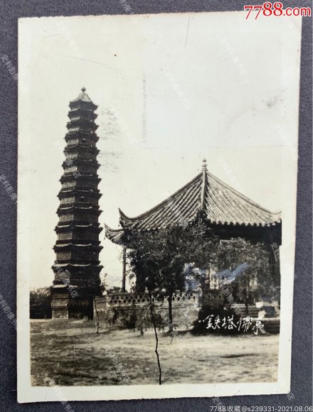 铁塔与知止亭