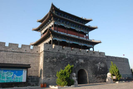 振扬门