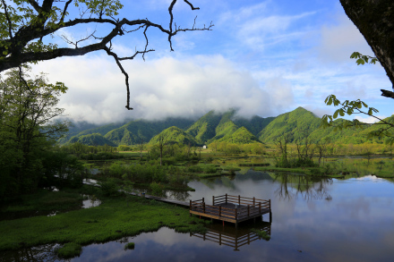 湖北神农架九大湖国家湿地公园