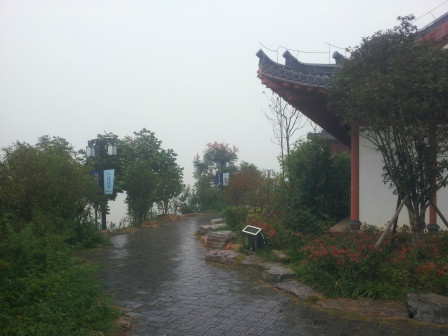 滨江公园