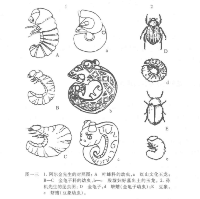 昆虫与玉龙的形象对比 