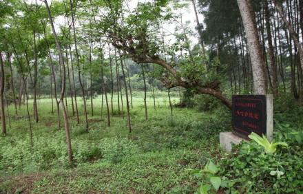 城址标识