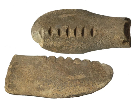 出土石鞋楦