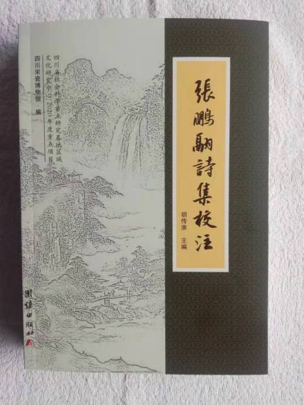 《张鹏翮诗集校注》封面照片