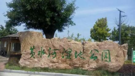 黄水河湿地公园
