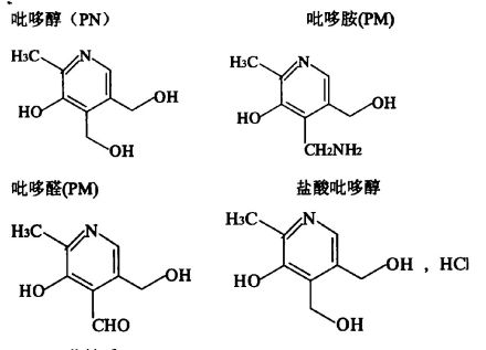 神经氨酸酶