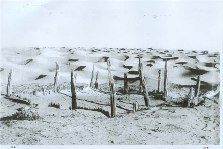 丹丹乌里克遗址