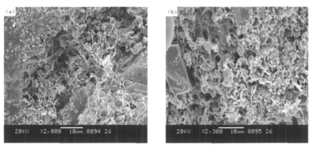 图 2 自生伊利石扫描电镜显微照片