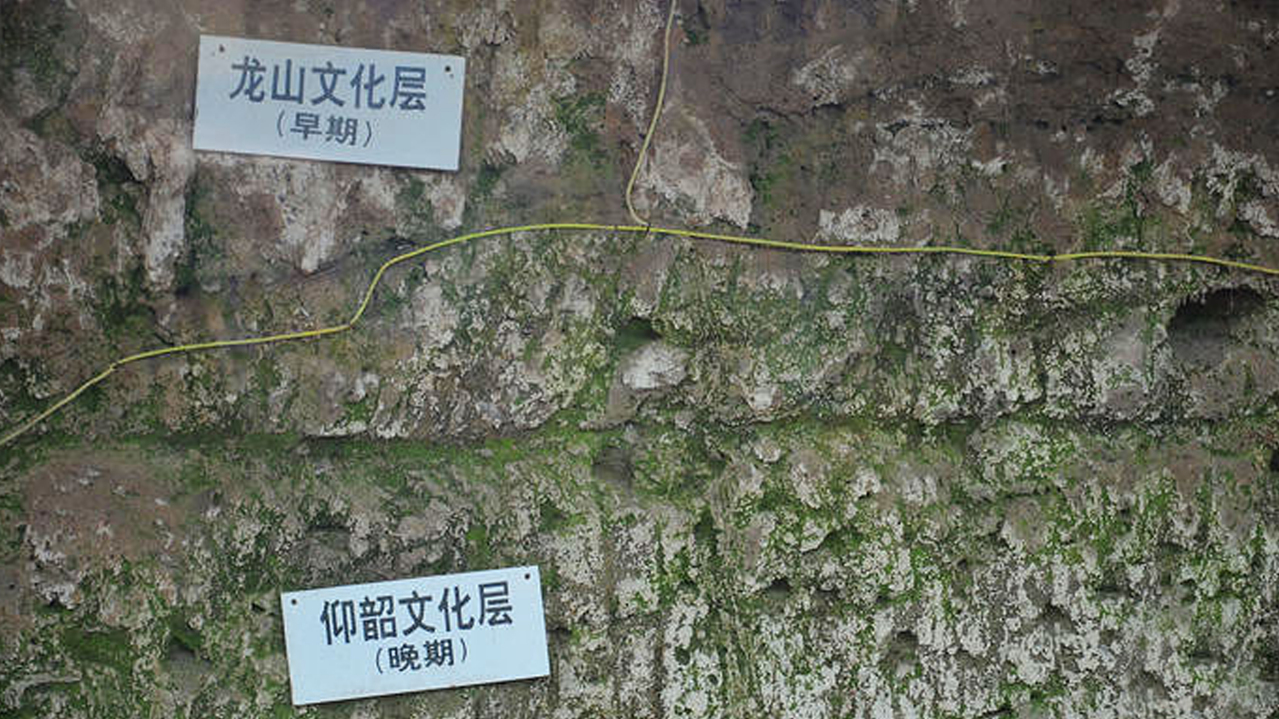 遗址文化层