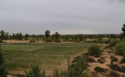 代来城城址