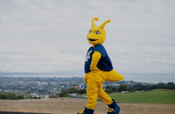 香蕉鼻涕虫（Banana Slug）