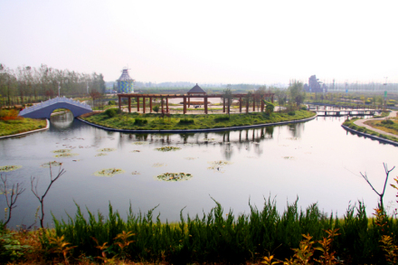 稻屯洼湿地