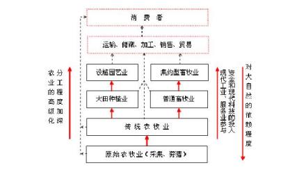 经济结构经济调整的分析技术