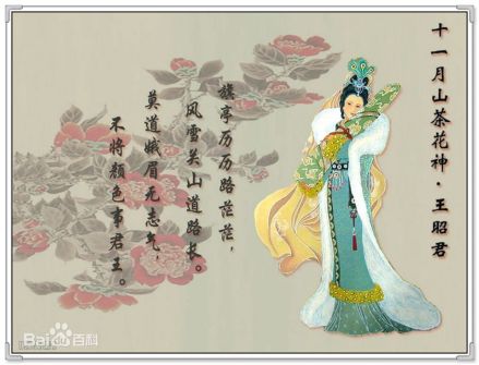 十一月山茶花花神：王昭君