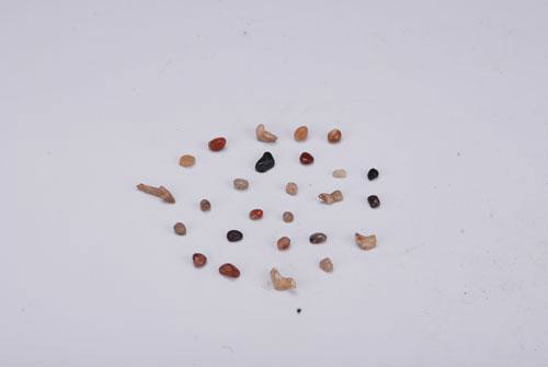 北宋东府佛牙舍利