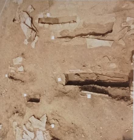 草帽山遗址积石冢内的墓葬分布