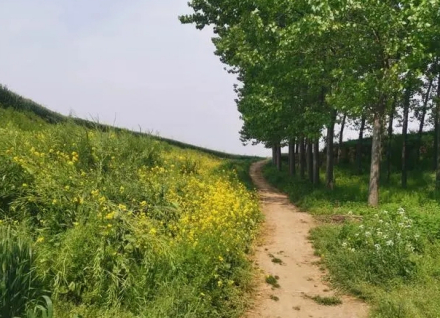 阿岗寺遗址