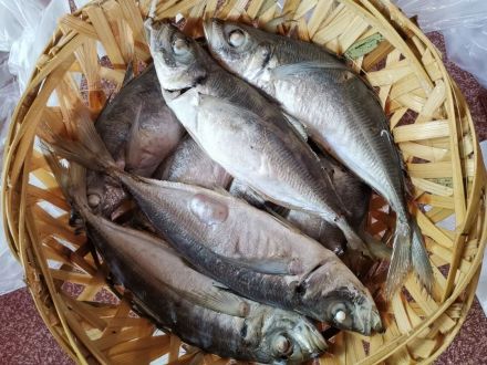 鱼饭