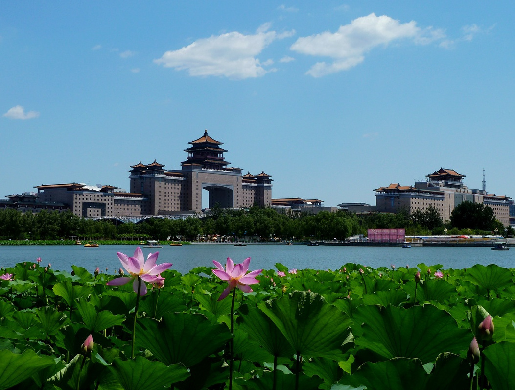 莲花池公园远眺北京西站