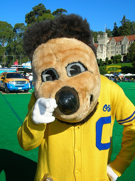 熊奥斯基 (Oski the Bear)