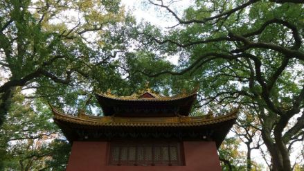 法雨寺玉佛殿