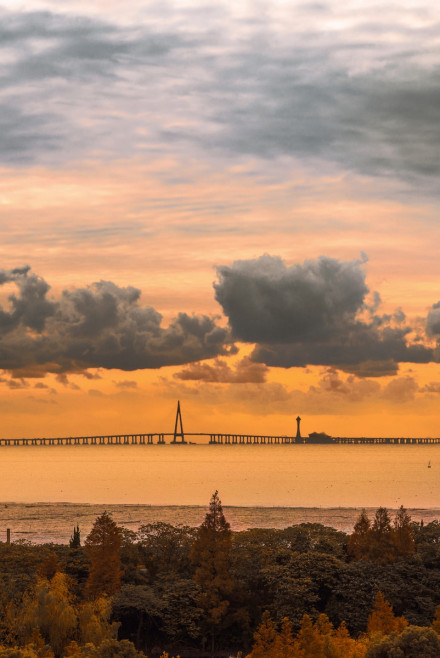 2008年5月1日，杭州湾跨海大桥通车运营