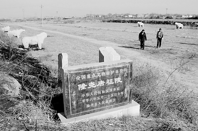 隆尧唐祖陵神道遗址