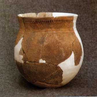 侈口陶罐（高20.5厘米）